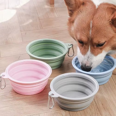 Reusable accessible dog food bowl